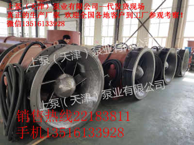 云南楚雄自動化全貫流潛水電泵