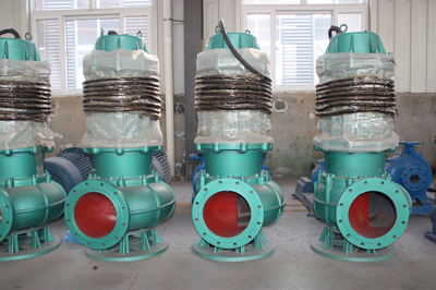 天昊泵業(yè) 專(zhuān)業(yè)排污解決方案——自吸式、不銹鋼潛水與臥式全貫流排污泵詳解