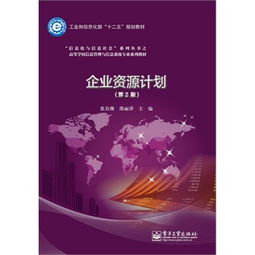 企業(yè)資源計劃系統(tǒng)與信息系統(tǒng)運(yùn)行維護(hù)服務(wù)